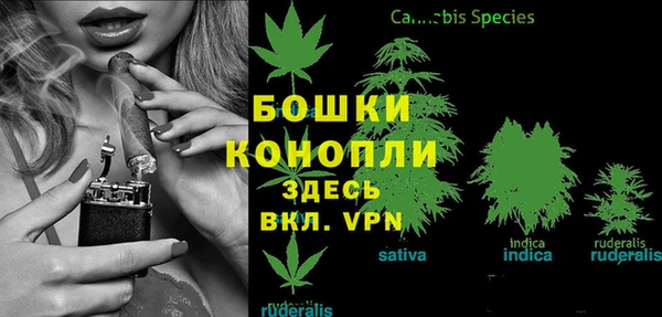 метадон Богородицк