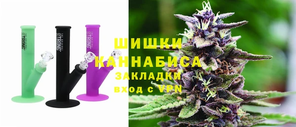 прущие грибы Беломорск